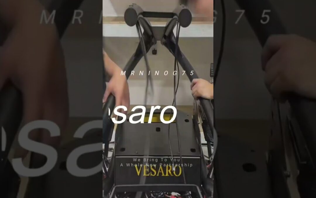 Honoured to have use of this Vesaro racing sim #racingsim #simracer #mrninog75#nino#vesaro