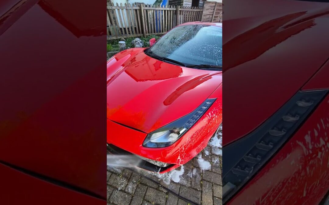 Freshening Up The Ferrari! #mrninog75 #automobile #nino #ferrari#detail#clean