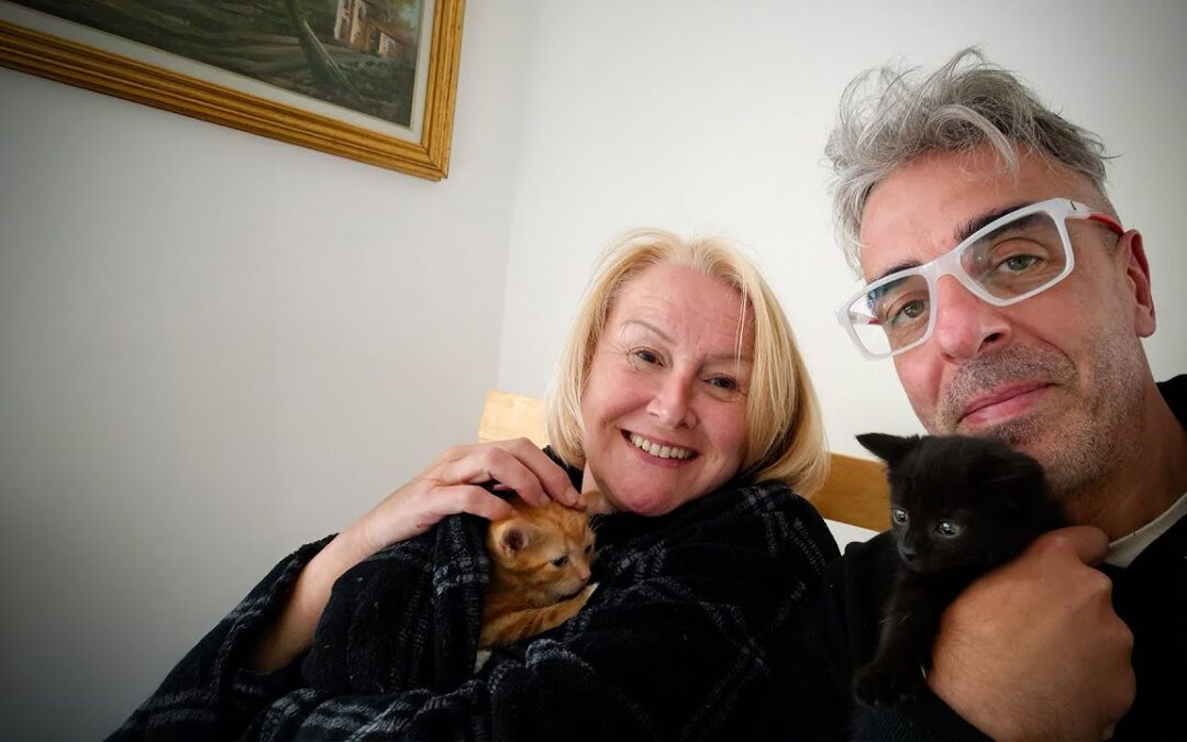 We adopted 2 rescue kittens!!