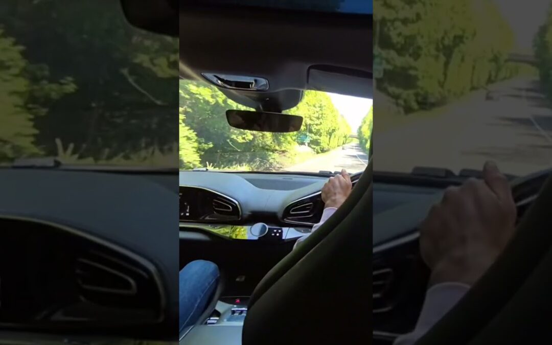 Ferrari V12 screaming and downshifts #mrninog75 #ferrari #nino #v12 #purosangue
