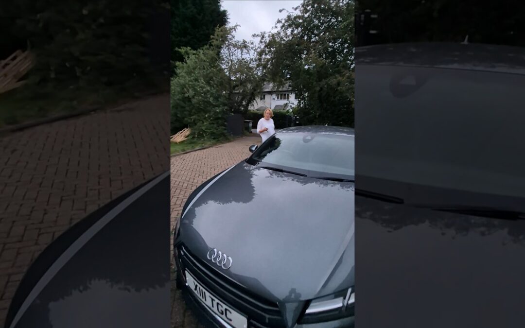 she just abandoned it!! #mrninog75 #nino #cars #wife #abandoned