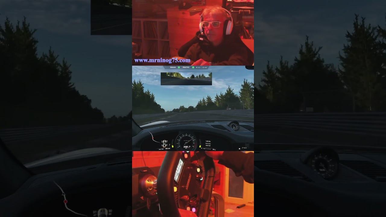 Cat like reactions! #mrninog75 #nino #assettocorsaevo #simracing #livestreaming